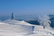 Neuschnee im Schigebiet Unterberg, © ARGE Schigebiet Unterberg