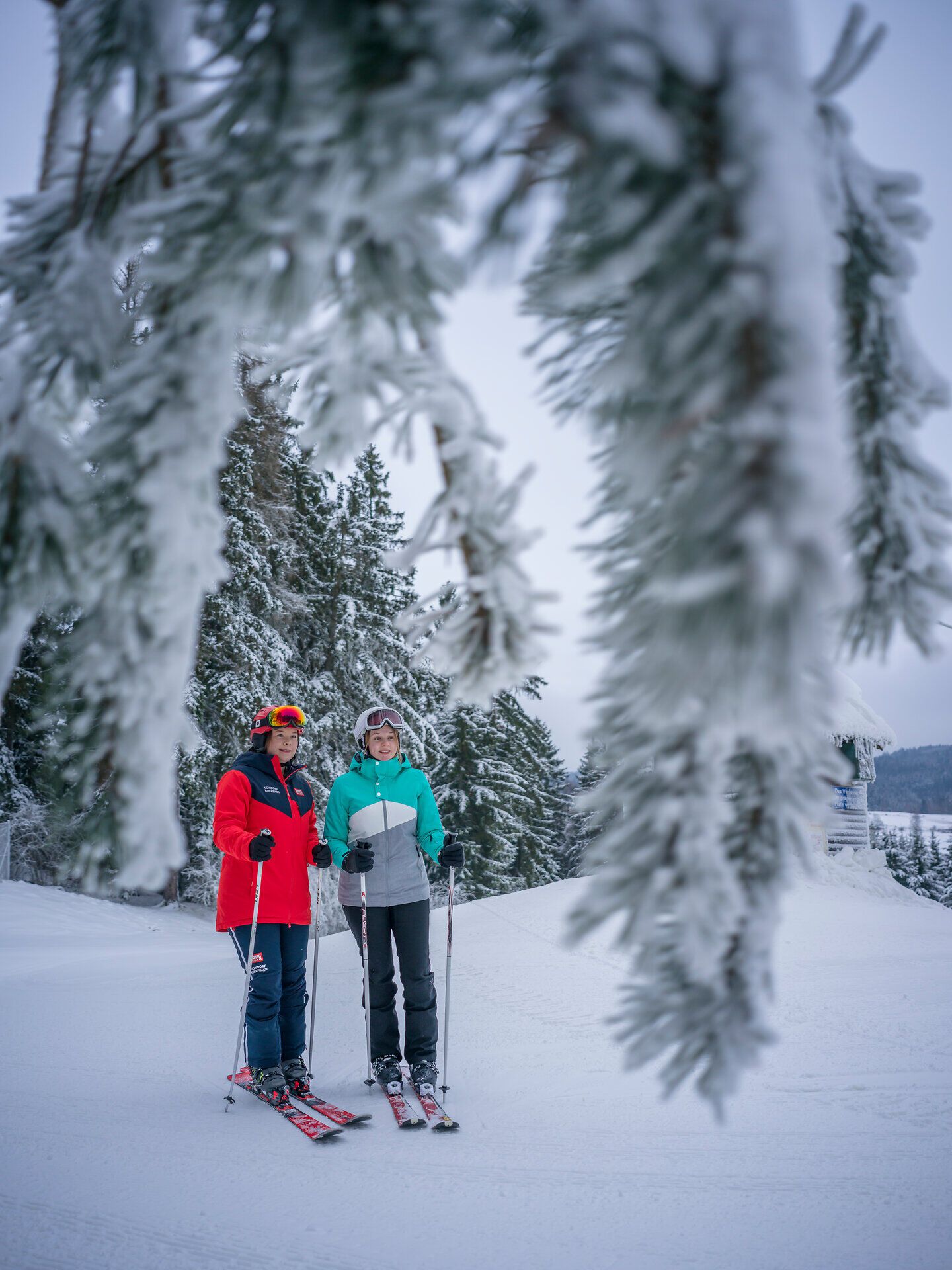 Zwei Skifahrerinnen stehen fröhlich im verschneiten Winterwald, umgeben von schneebedeckten Tannen. Die kalte, frische Luft und die glitzernde Schneedecke schaffen eine magische Atmosphäre, die zum Skifahren einlädt.